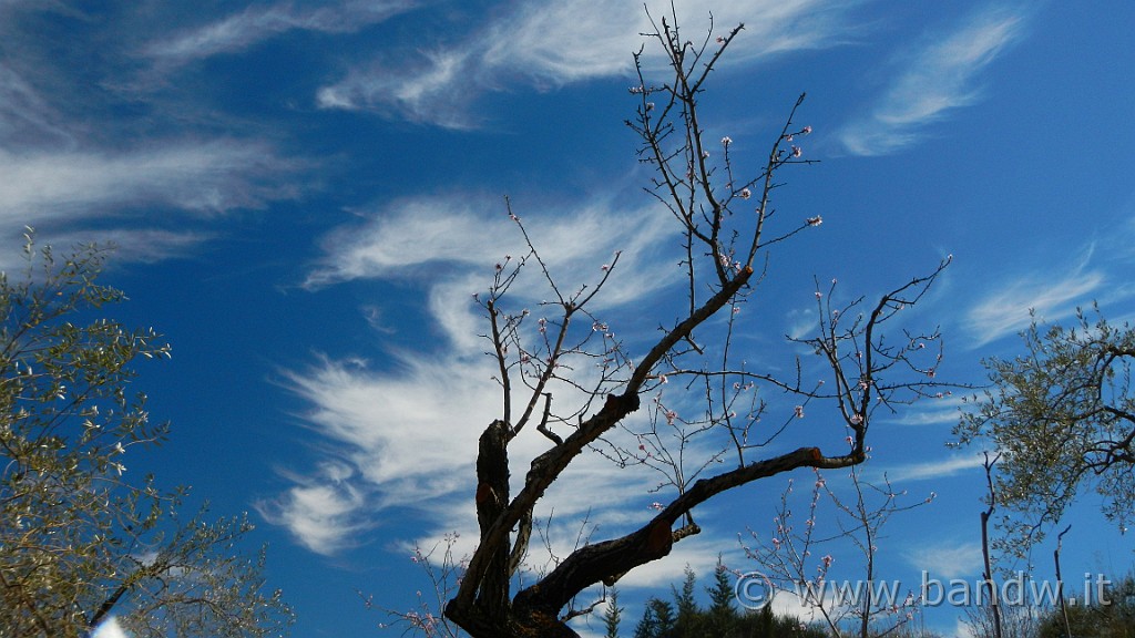 DSCN8334.JPG -                                