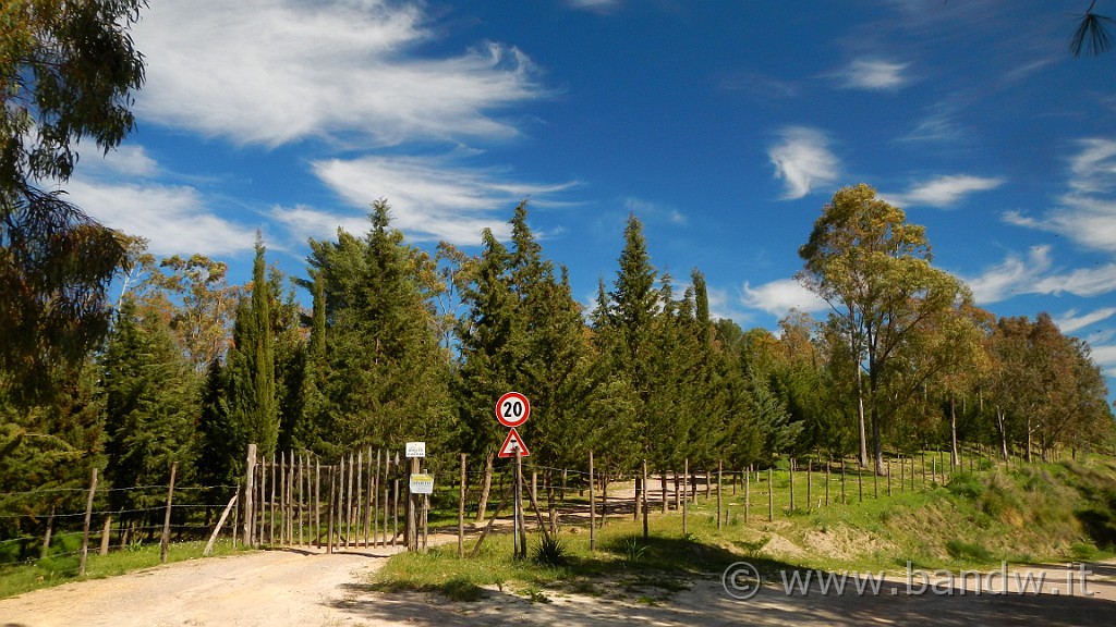 DSCN8344.JPG -                                