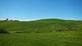 DSCN8274