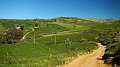 DSCN8276