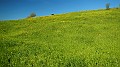 DSCN8278
