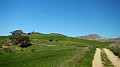 DSCN8280
