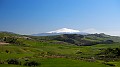 DSCN8282