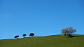DSCN8283