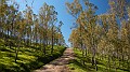 DSCN8288