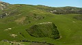 DSCN8291