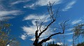 DSCN8334