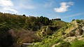 DSCN8345