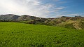 DSCN8349