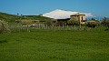 DSCN8350