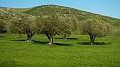 DSCN8351