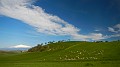 DSCN8354