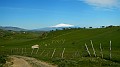 DSCN8358