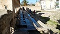 DSCN2719
