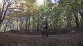 DSCN7893
