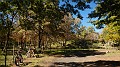 DSCN7914