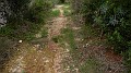 DSCN9955