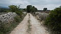 DSCN9956