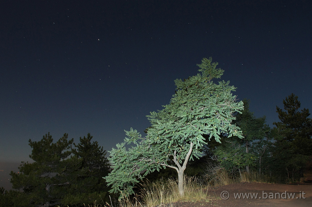 IMG_9120 cut2.jpg