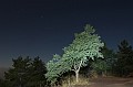 IMG_9120 cut2