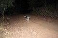 IMG_9133