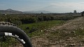 DSCN5514