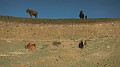 DSCN5518