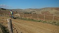 DSCN5525