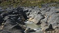 DSCN5537