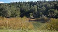 DSCN4046