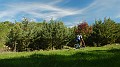 DSCN4051