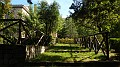 DSCN4056