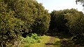 DSCN8376