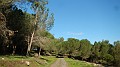 DSCN5823