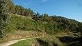 DSCN5835