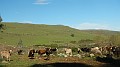 DSCN5841