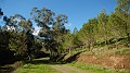 DSCN5843