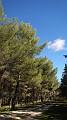 DSCN5848