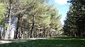 DSCN5849