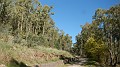 DSCN5855