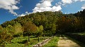 DSCN5859