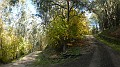 DSCN5863