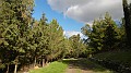 DSCN5867