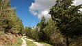 DSCN5869