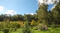 DSCN5871