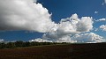 DSCN5875