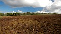 DSCN5876
