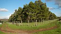 DSCN5877