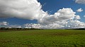 DSCN5878