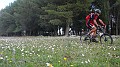 DSCN5894